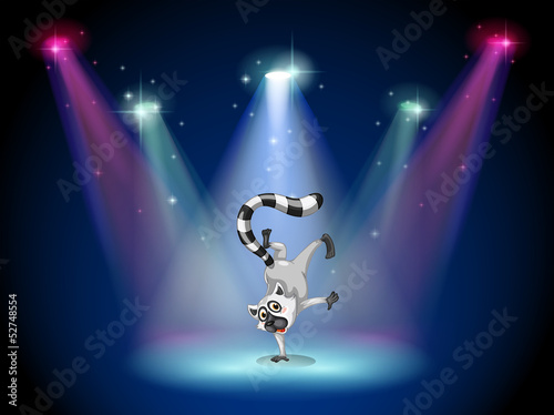 A lemur performing a show on stage