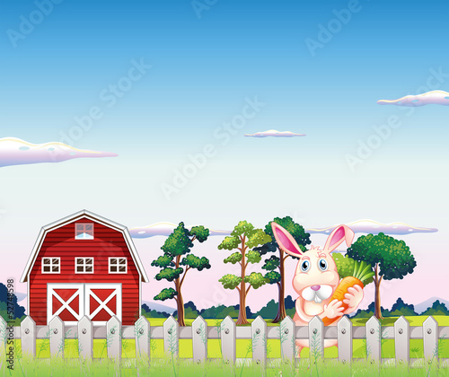 A rabbit holding a carrot inside the fence at the farm