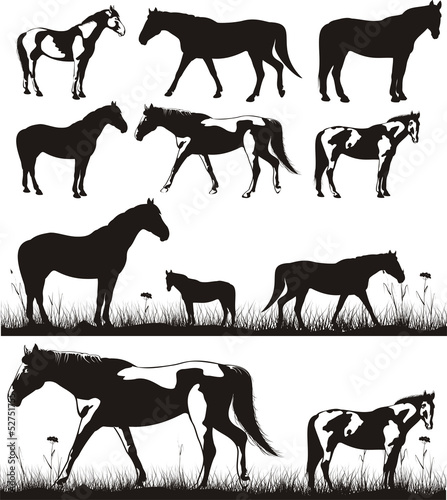 horses - silhouettes