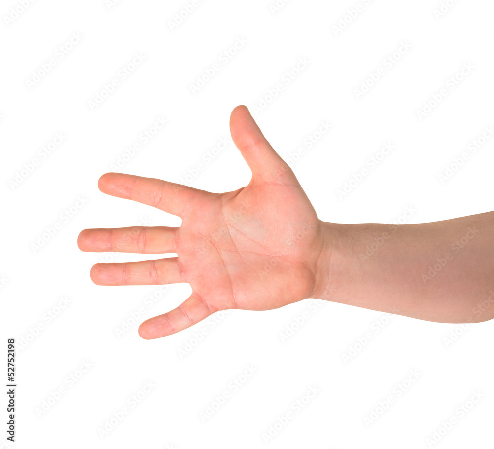 Five finger hand gesture sign isolated Five finger hand gesture sign isolated