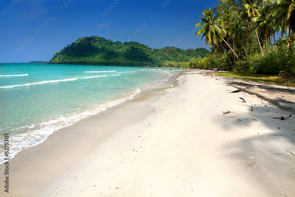 Beautiful landscape of tropical beach