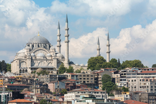 Photography Mosque with minarets in background of large number of houses