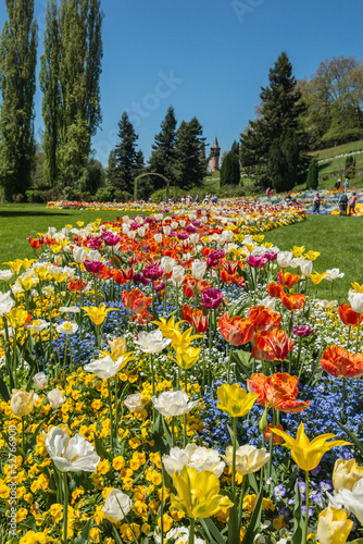 Fototapeta Naklejka Na Ścianę i Meble -  Blumenmeer