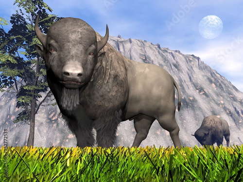 Bisons in the nature - 3D render