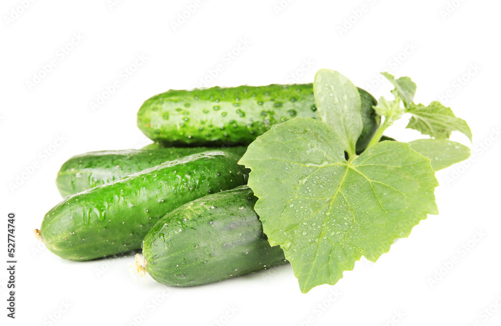 Tasty green cucumbers, isolated on white Tasty green cucumbers, isolated on white