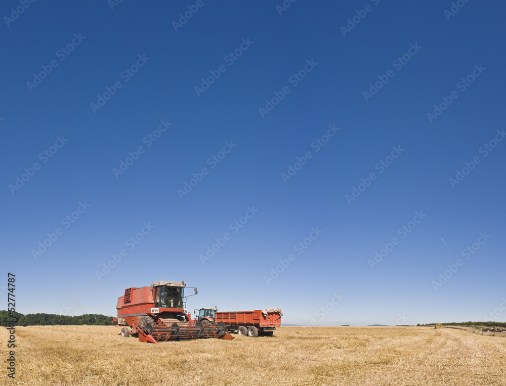 Obraz premium Combine harvester and farmland