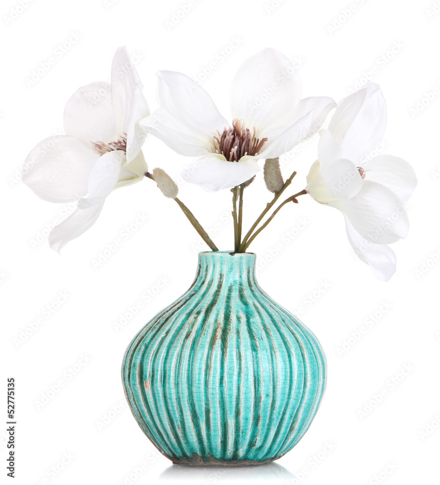 Fototapeta premium Beautiful magnolia in vase isolated on white