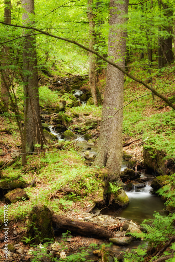 Obraz premium Beautiful cascade in Sudety mountains