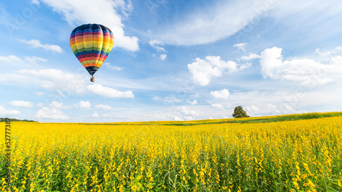 Hot air balloon over yellow flower fields against blue sky