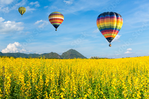 Hot air balloon over yellow flower fields against blue sky