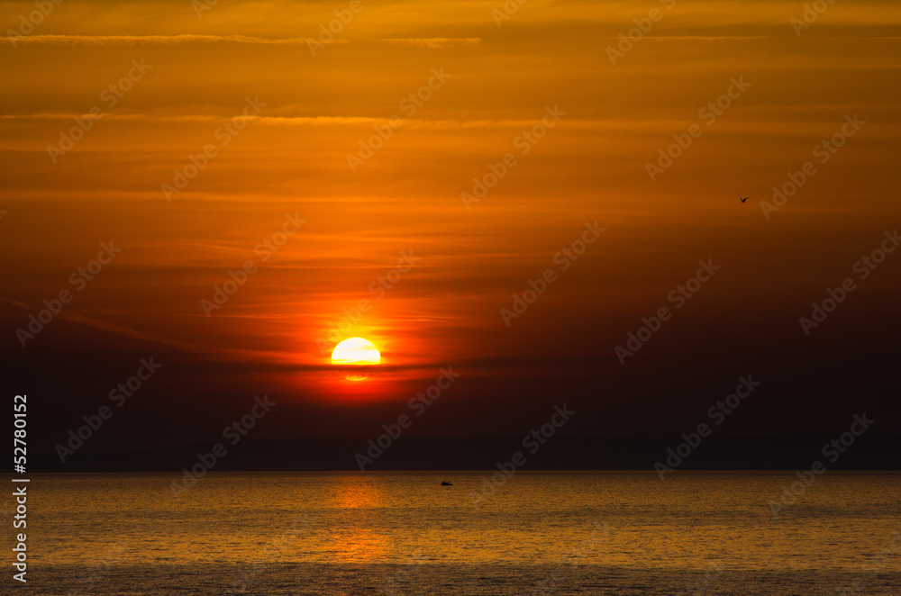 Seagul and a fishing boat far away on the sea at sunrise