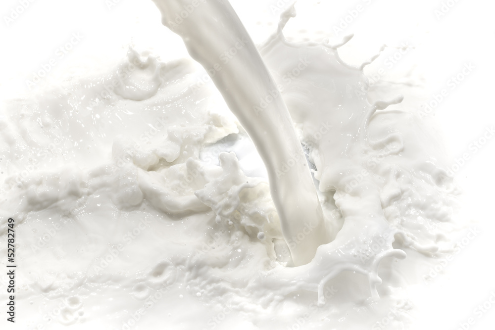 milk splash milk splash