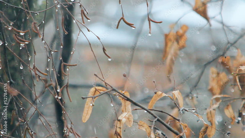 snow falls, sleet, bad weather snow falls, sleet, bad weather