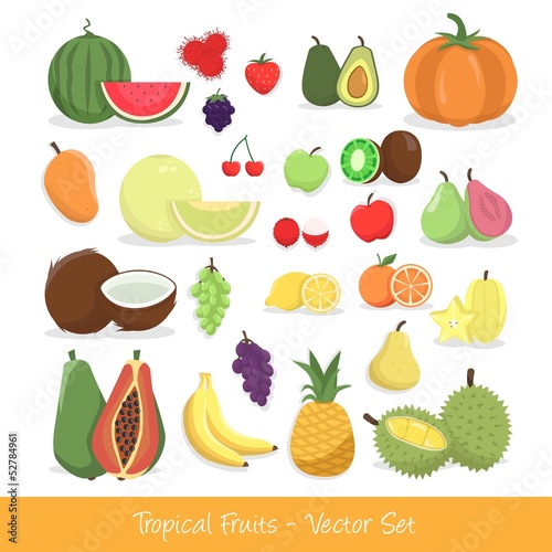 Tropical Fruit Vector Set photo