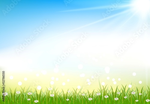 grass background with grass and light effects