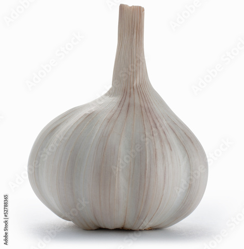 Garlic bulb isolated on white with clipping path