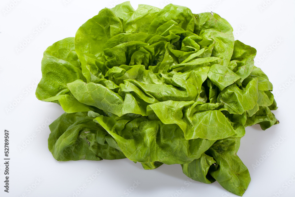 Fresh green Lettuce salad isolated on white background Fresh green Lettuce salad isolated on white background