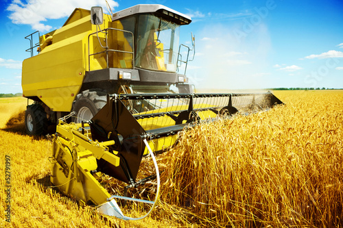an yellow harvester in work