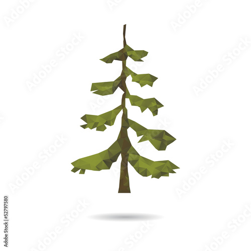 Fir abstract isolated on a white backgrounds