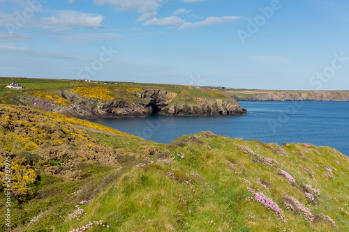 Caer Bwdy Bay St Brides Bay Pembrokeshire West Wales UK photo