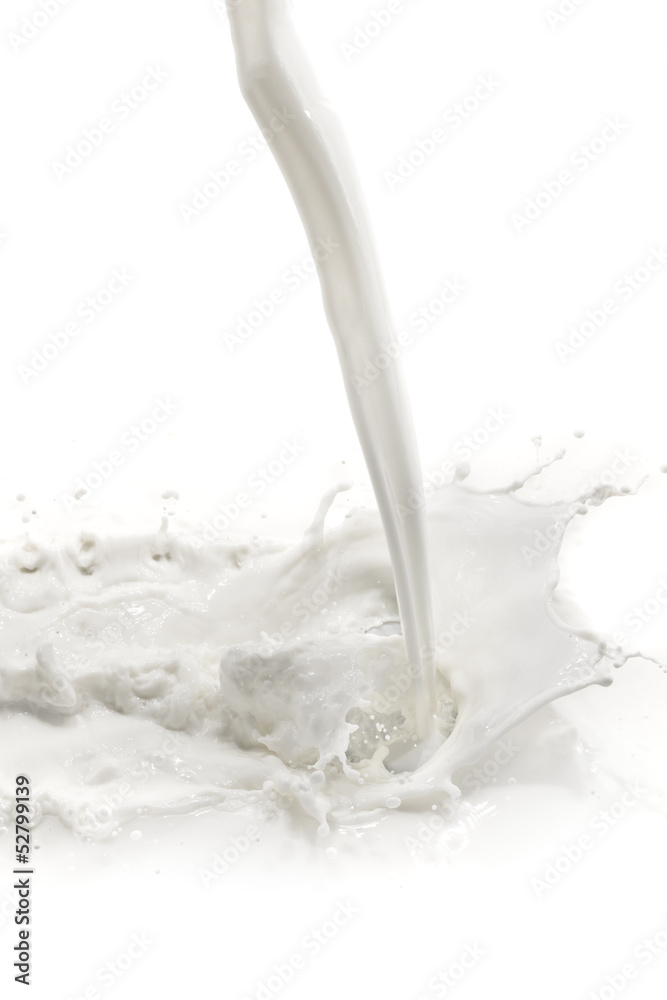 milk splash milk splash