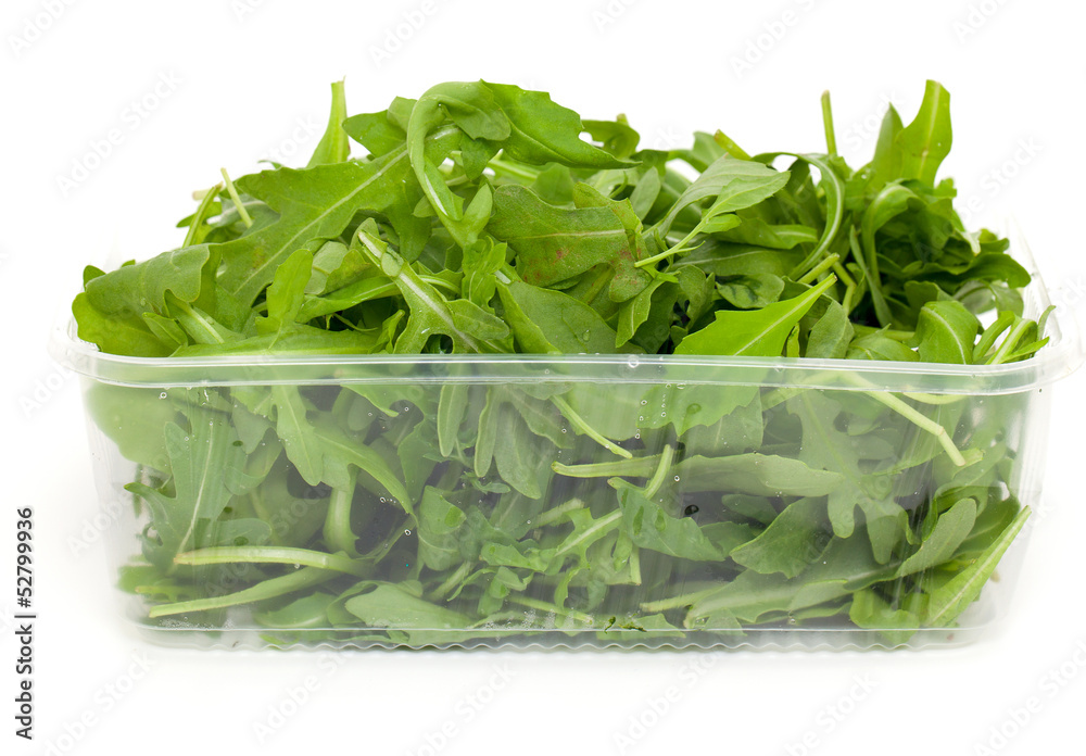 fresh rucola fresh rucola