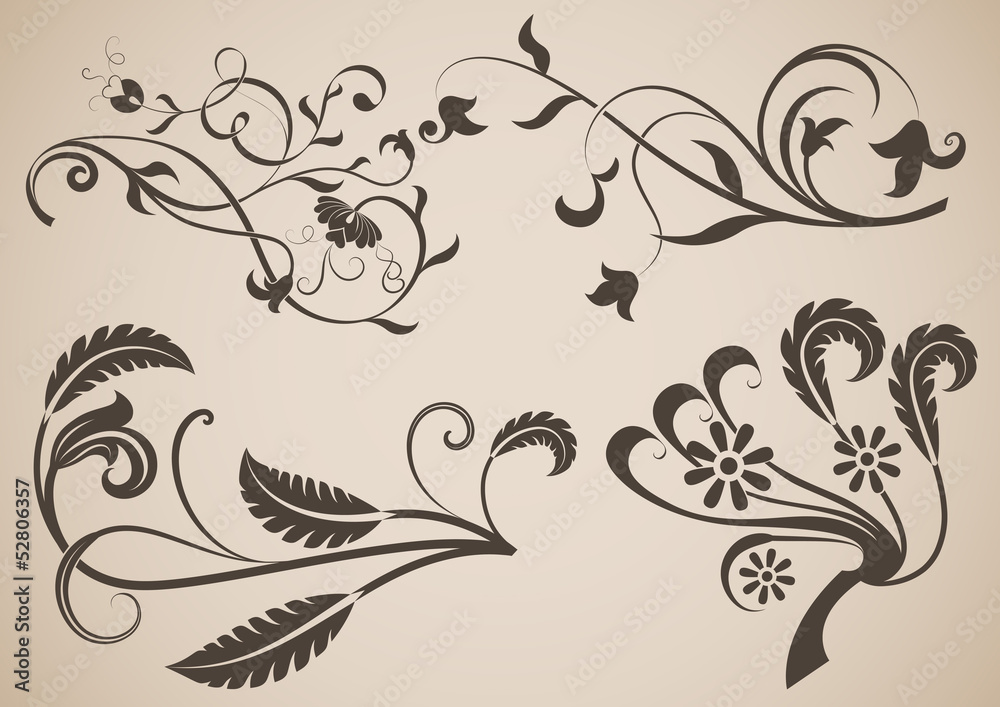 Vintage floral design elements vector illustration.