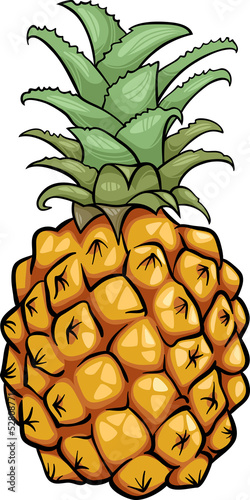 pineapple fruit cartoon illustration