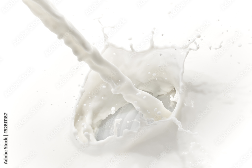 milk splash milk splash