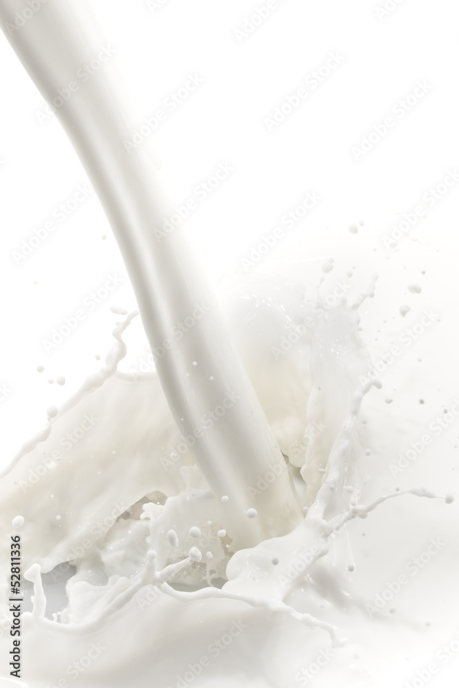 milk splash milk splash