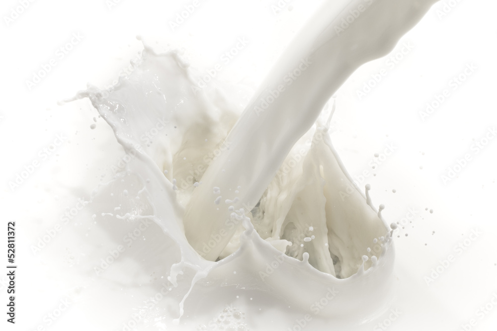 milk splash milk splash