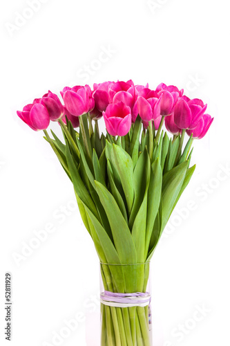Bunch of tulips on a white