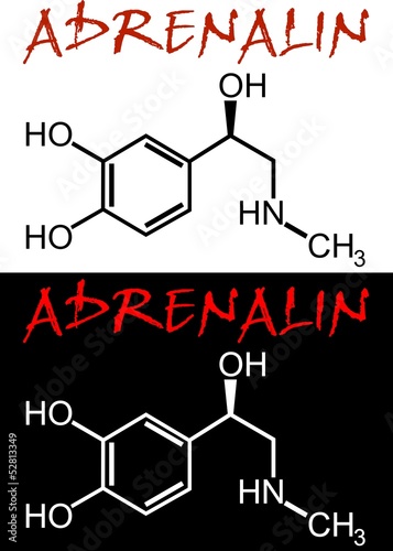 130527-Adrenalin_d