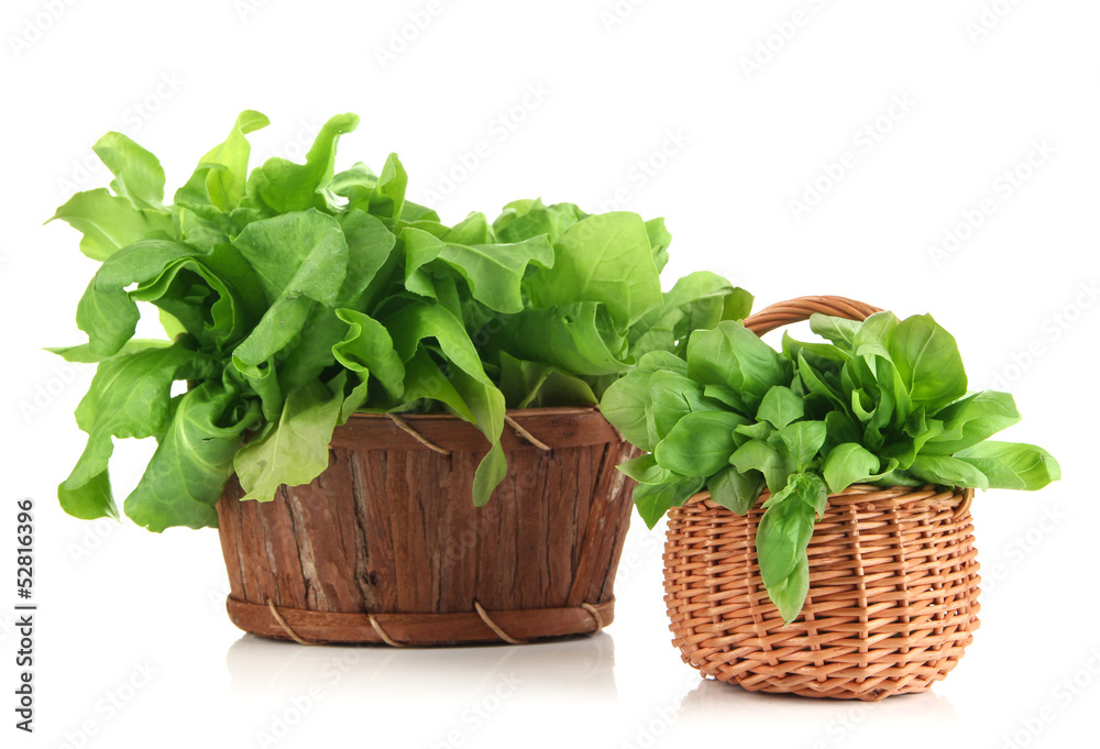 Naklejka premium Fresh herbs in baskets isolated on white