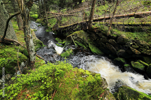 Creek from the green Wilderness in the spring Mountains  Czech