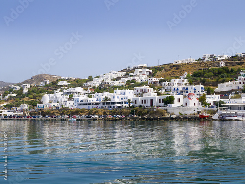 Pelican on the island of Mykonos Greece