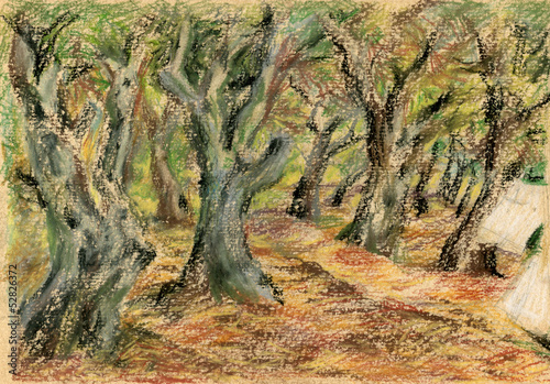 Pastel Landscape with olive grove
