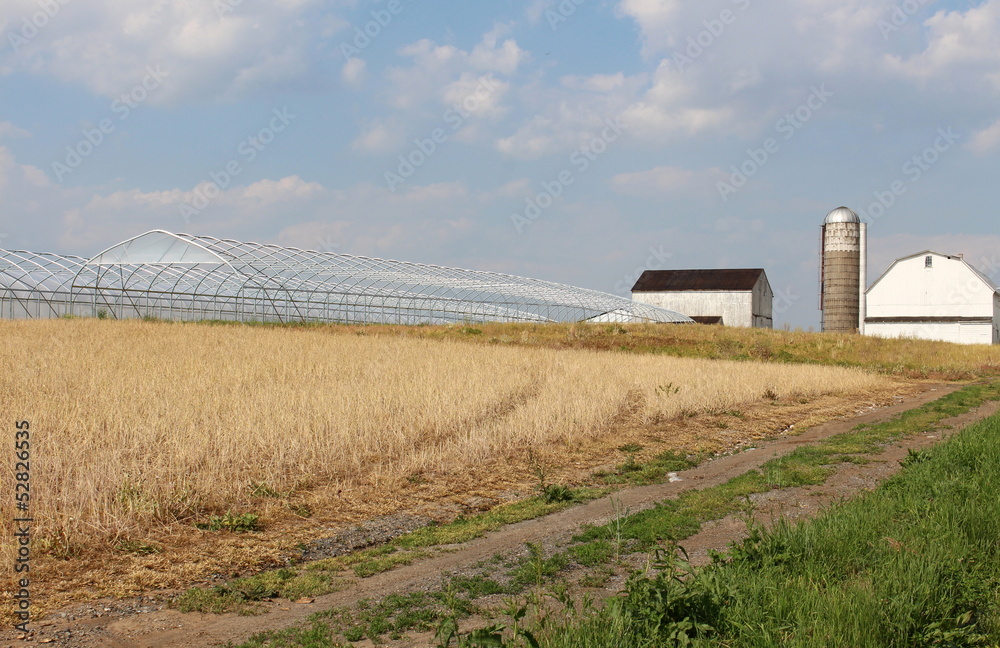 Country landscape with farmhouse and greenhouse Country landscape with farmhouse and greenhouse