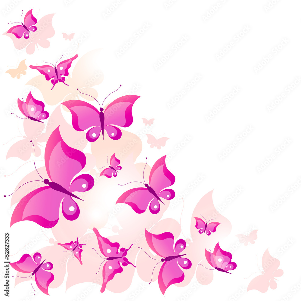 butterfly,butterflies