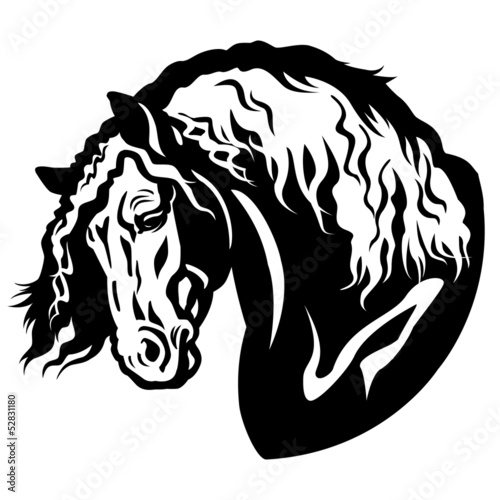 draft horse head