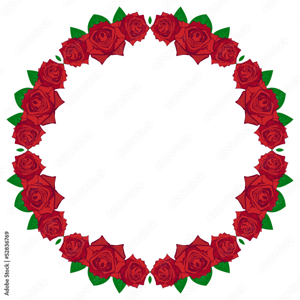 Beautiful red rose Beautiful red rose