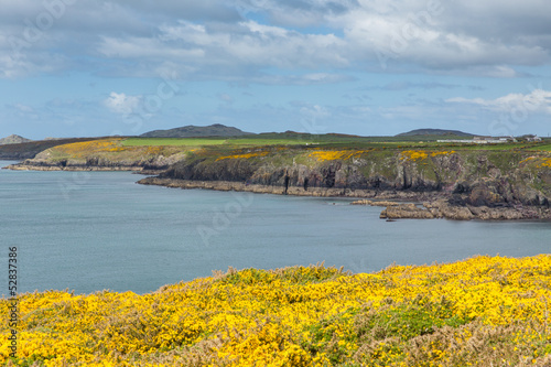 St Brides Bay Caerfai to St Non`s Pembrokeshire West Wales UK photo