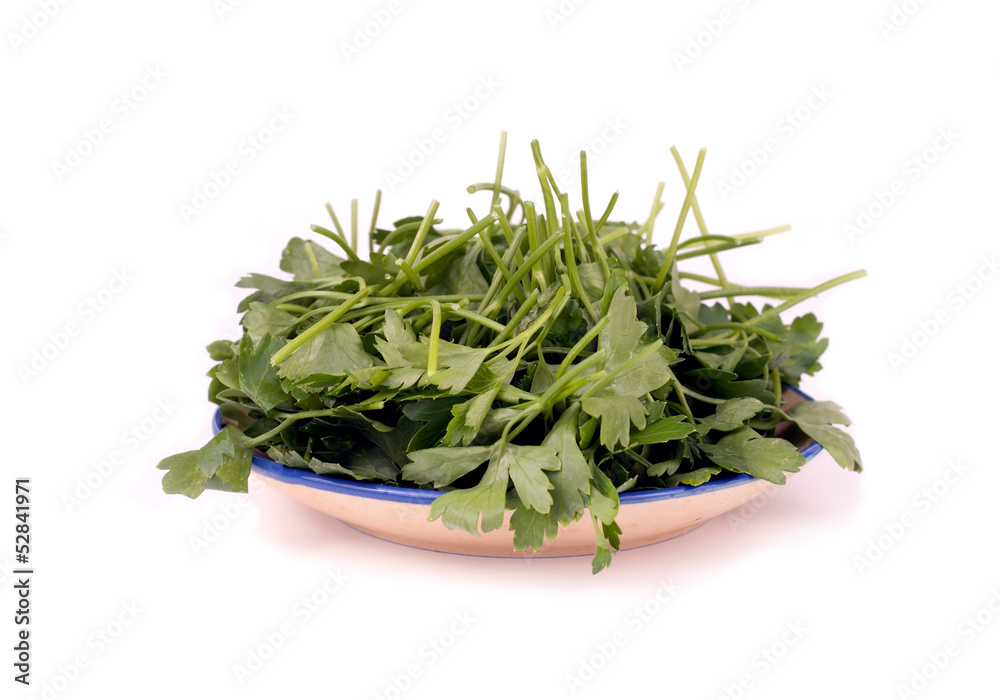 Parsley on a plate Parsley on a plate