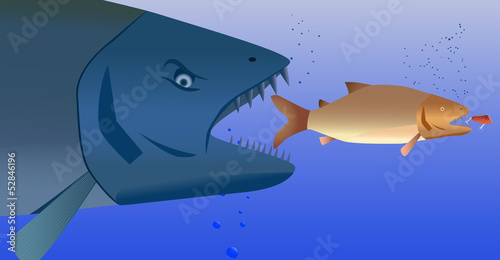 fish predator