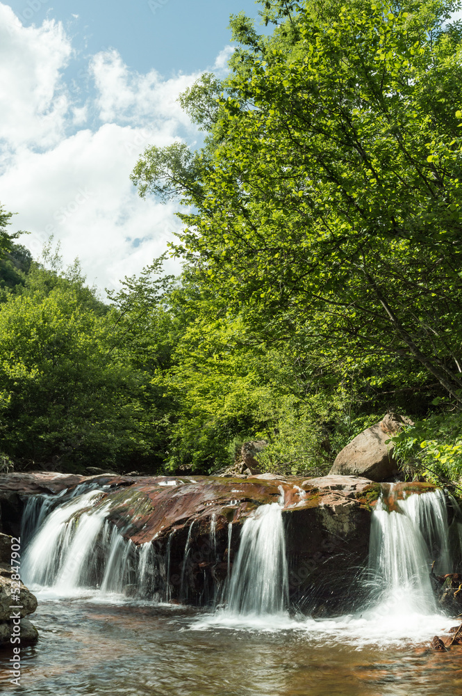 Fototapeta premium Waterfall in the forest