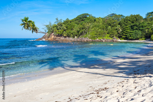 Fototapeta Naklejka Na Ścianę i Meble -  reflets de cocotiers sur plage des Seychelles