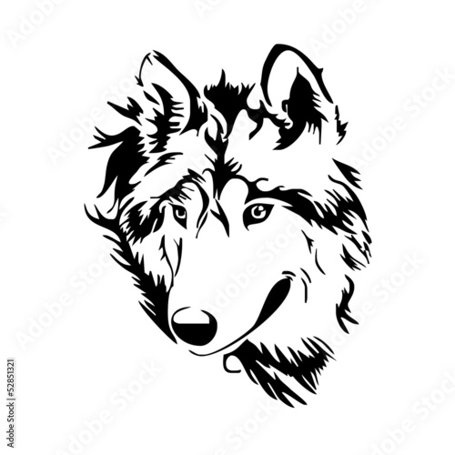 wolf head sketch vector