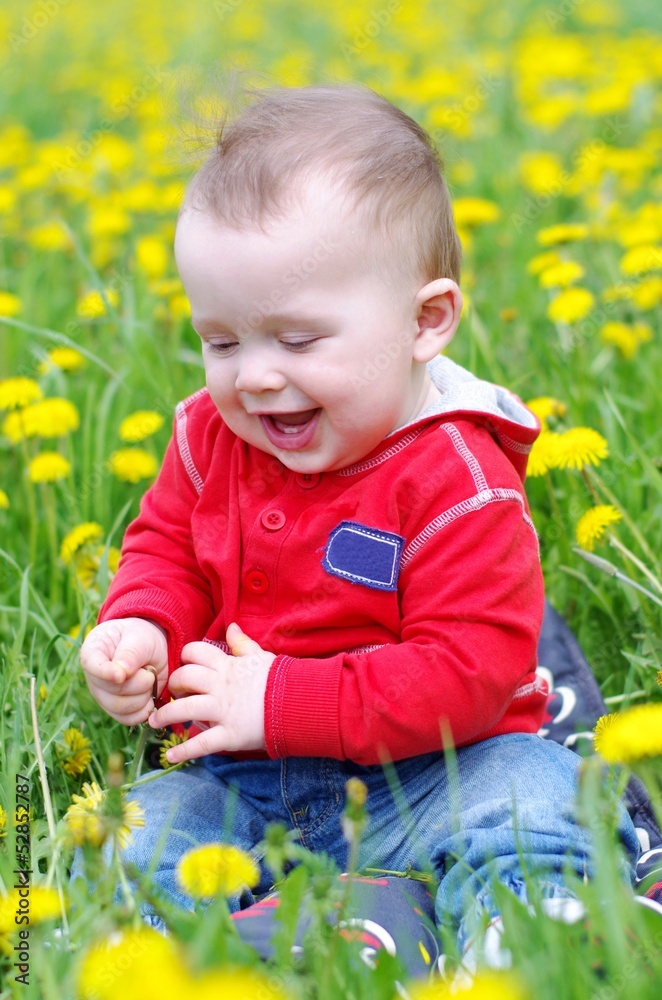 smiling lovely baby against dandelions meadow smiling lovely baby against dandelions meadow