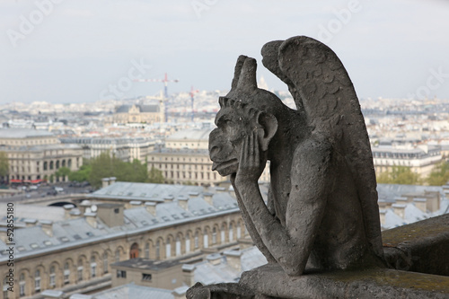 Notre Dame of Paris, Demon most famous of all Chimeras, overlook