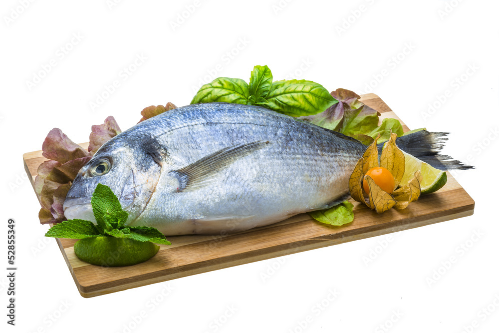 Fresh raw dorada Fresh raw dorada